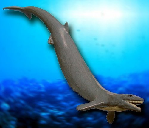 �o�V���T�E���X