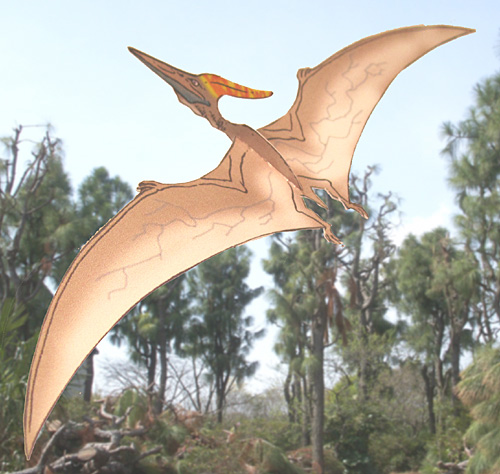 �v�e���m�h��