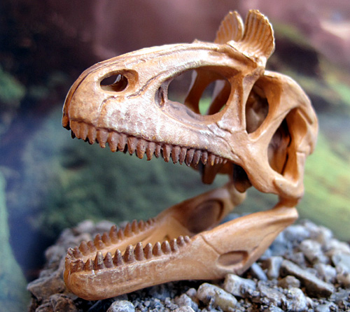 �N���I���t�H�T�E���X