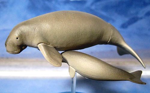 �W���S������