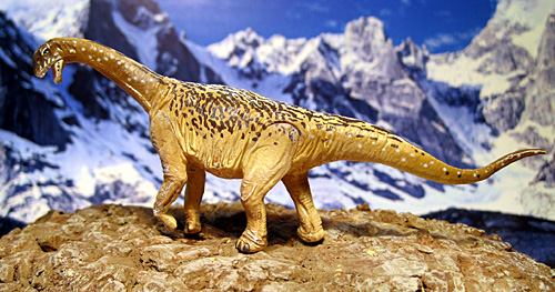 �J�}���T�E���X