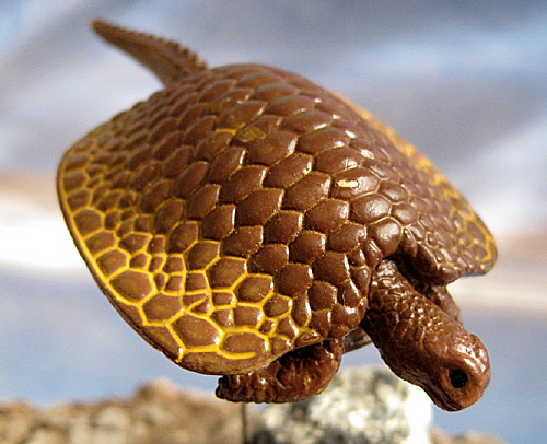 �w�m�h�D�X