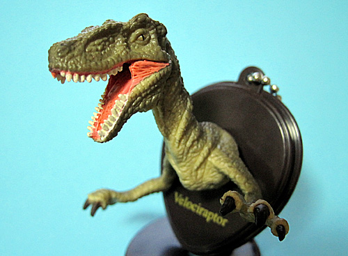 ���F���L���v�g��