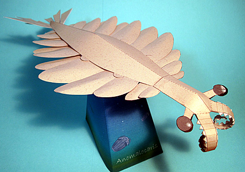 �A�m�}���J���X