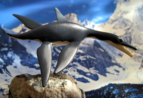 �h���R�����R�v�X