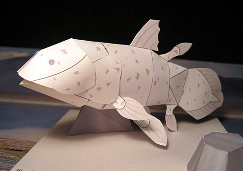 �V�[���J���X