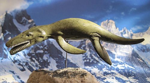 ���I�v���E���h��