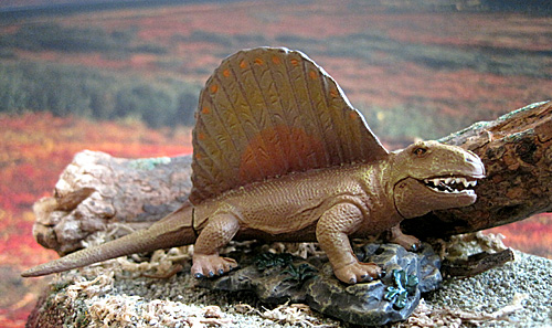 �f�B���g���h��