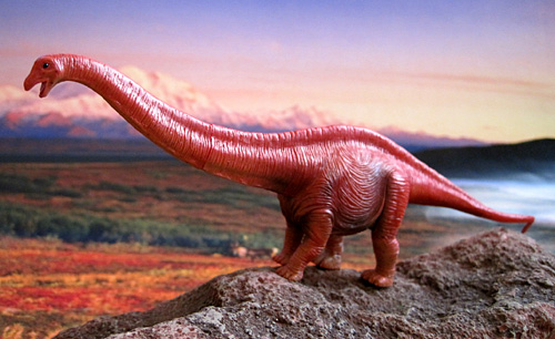 �X�[�p�[�T�E���X