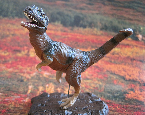 �P���g�T�E���X