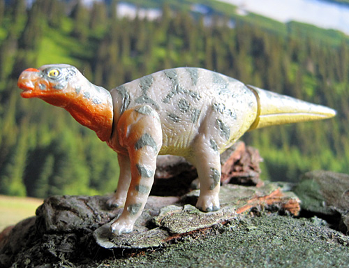 ���b�^�u���T�E���X