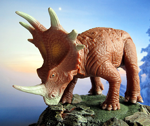 �X�e�B���R�T�E���X