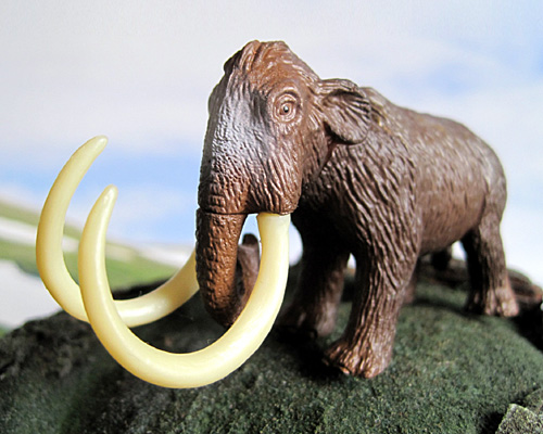 �}�����X