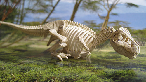 �e�B���m���i����|�[�Y