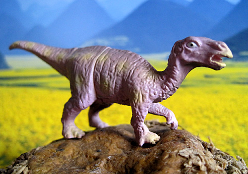 �C�O�A�m�h��