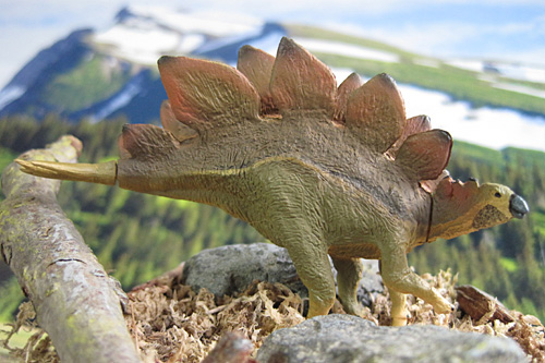 �X�e�S�T�E���X