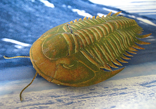 �O�t���y�[�p�[�N���t�g