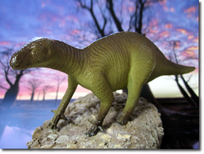 �C�O�A�m�h��