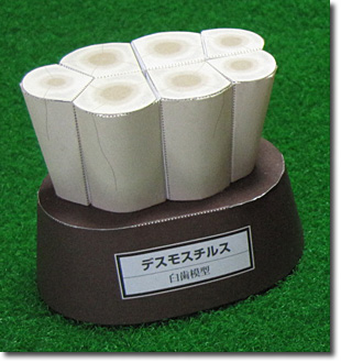 �n���W�{�ف@�f�X���X�`���X