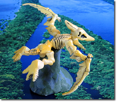 �v�e���m�h��