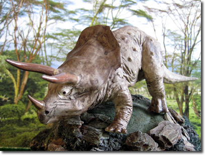 �g���T�E���X