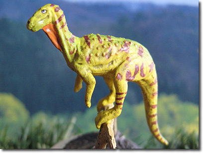 �q�v�V���z�h��