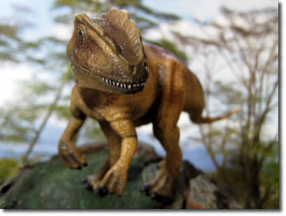 �A���T�E���X