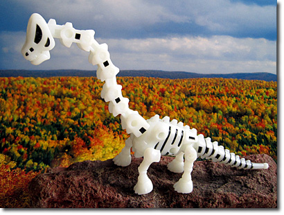 ���K�u���L�I�T�E���X