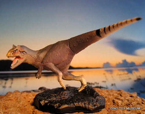 �A���T�E���X