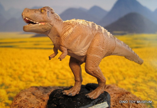 �Y�P���e�B�����k�X