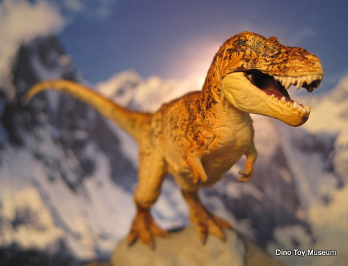 �e�B���m�T�E���X�i�E���R�����j