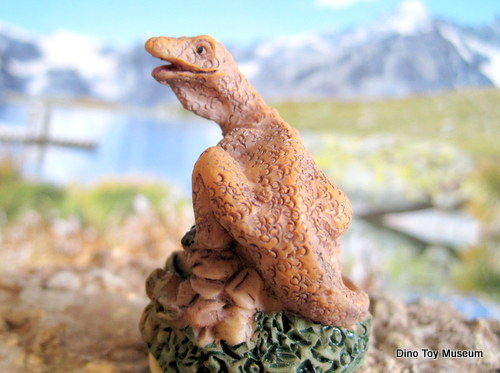 �f�B�m�j�N�X