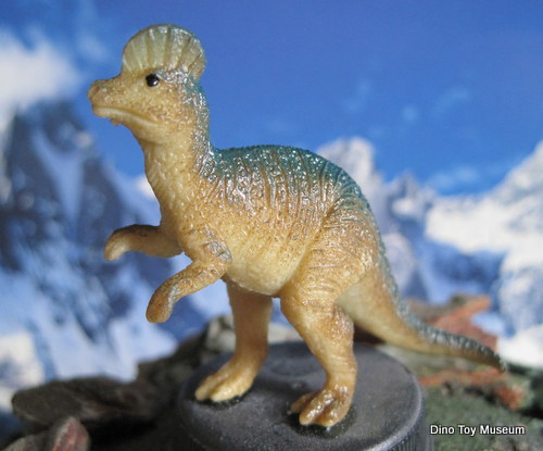 �R���g�T�E���X