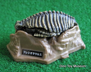 �v���V�I�T�E���X