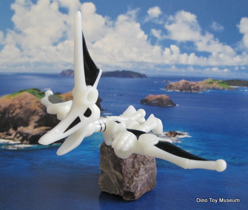 �j�N�g�T�E���X