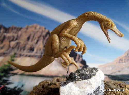 ���F���L���v�g��