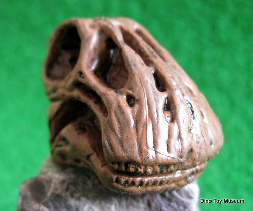 �j�W�F�[���T�E���X