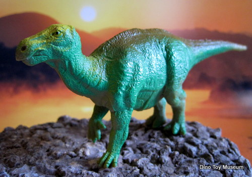 �C�O�A�m�h��