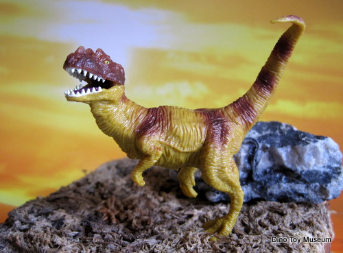 �P���g�T�E���X