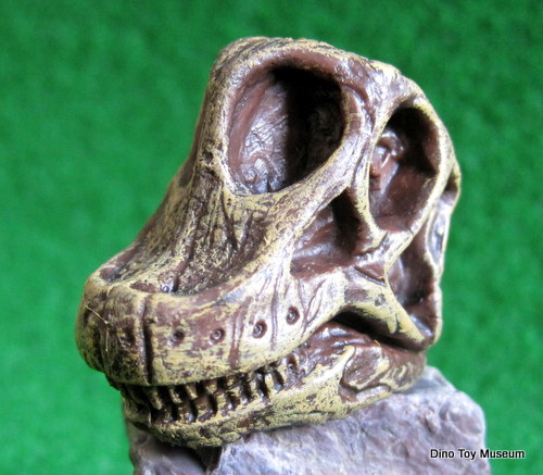 �u���L�I�T�E���X