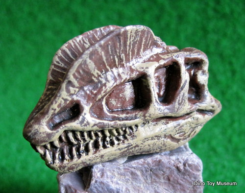 �f�B���t�H�T�E���X