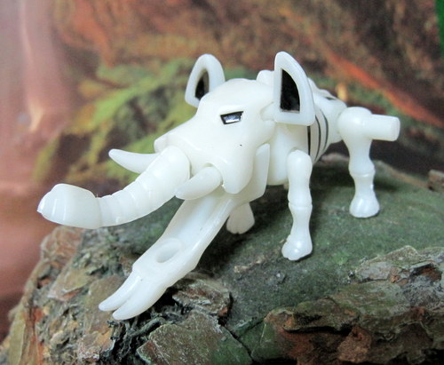 �u���e�B�x���h��