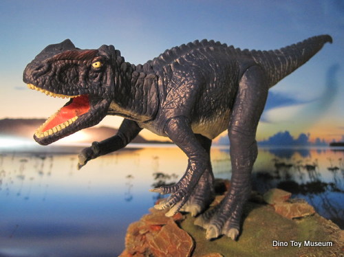 �A���T�E���X