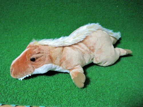 �e�B�����m�T�E���X