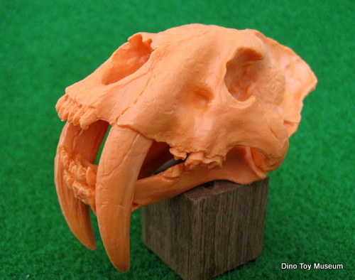 �X�~���h��