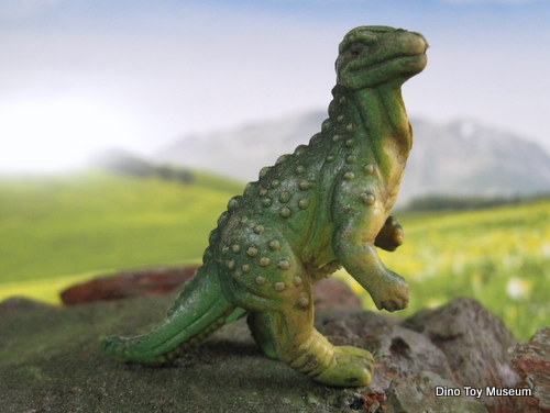 �C�O�A�m�h��