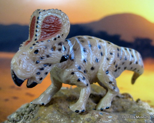 �v���g�P���g�v�X