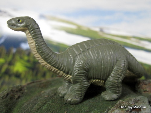 �A�p�g�T�E���X