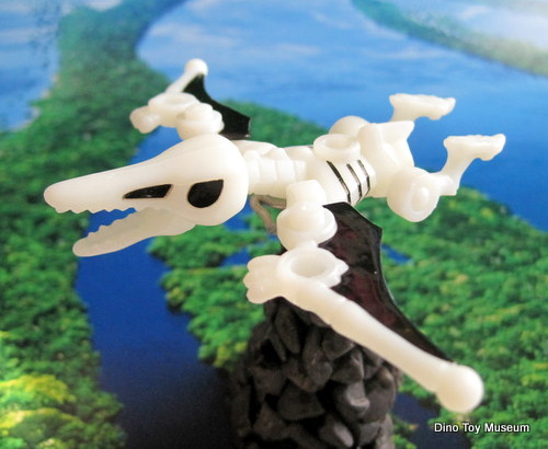 �v�e���_�N�e�B���X