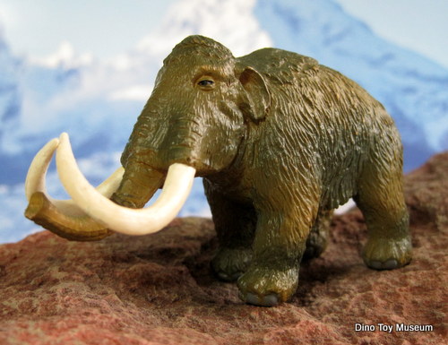 �E�[���[�}�����X